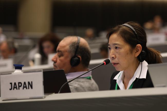 Masami Fujimoto, Japan