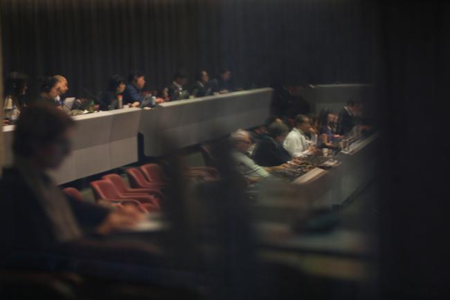 Delegates in reflection