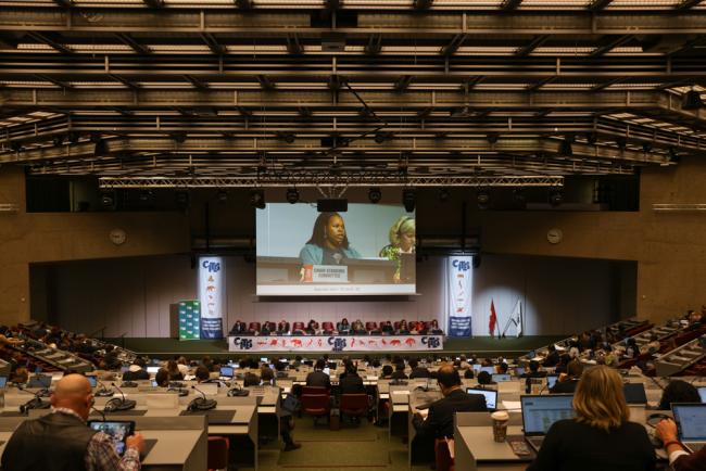Delegates gather in plenary an hour early to tackle the long list of agenda items scheduled for the day