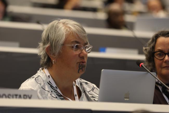 Bonita Bigham, Indigenous Peoples Representative, New Zealand