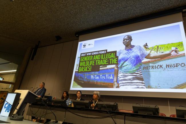 A side event was held on gender and illegal wildlife trade (IWT)