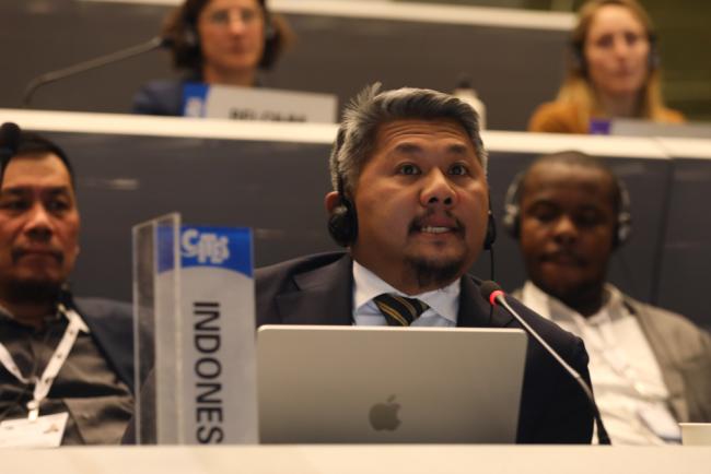 Esfandri Nurb, Indonesia, speaking on behalf of a group of countries, including Palestine