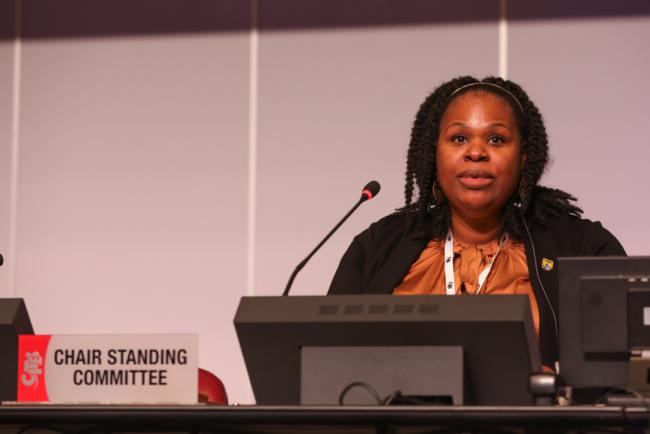 SC 77 Chair Naimah Aziz, US