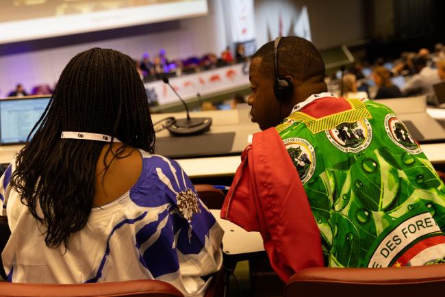 Delegates consult during the session
