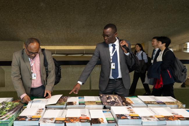 Delegates browse through materials available around the venue