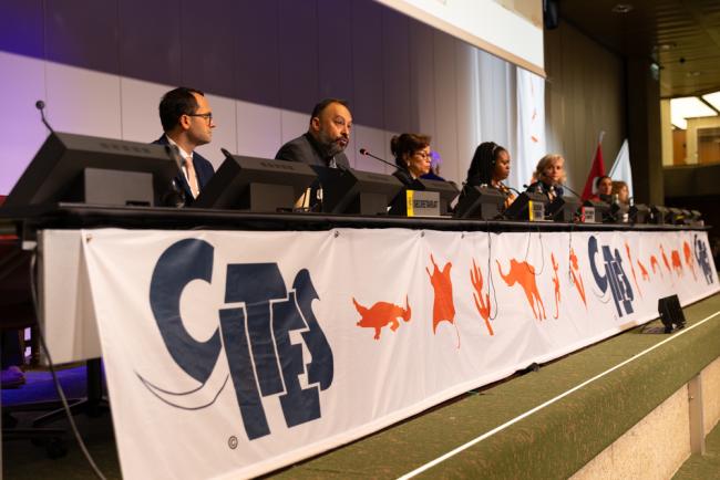 View of the dais during the morning plenary 