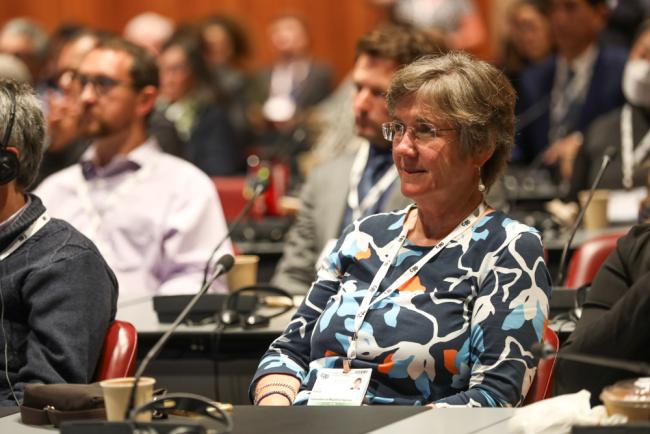 Melanie Virtue, Convention on Migratory Species (CMS)