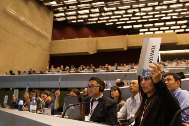 Two votes were held in the afternoon to help parties reach a decision on recommendations related to compliance in the EU and the UK