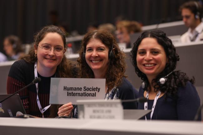 Manon Dené, Rebecca Regnery, and Sophie Nazeri, Humane Society International