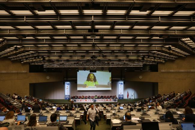 Delegates gather for the morning plenary