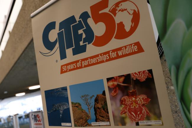 CITES at 50