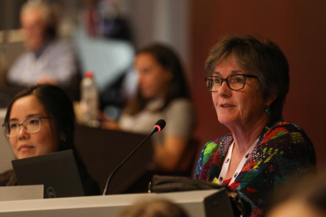 Melanie Virtue, Convention on Migratory Species (CMS)