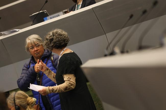 New Zealand delegates