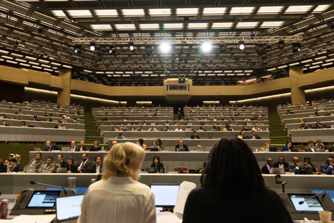 View of the plenary from the dais
