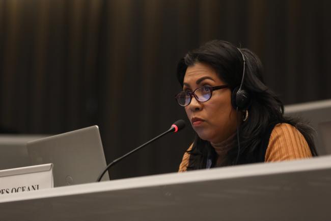 Darsy Santamaria, Opes Oceani Foundation