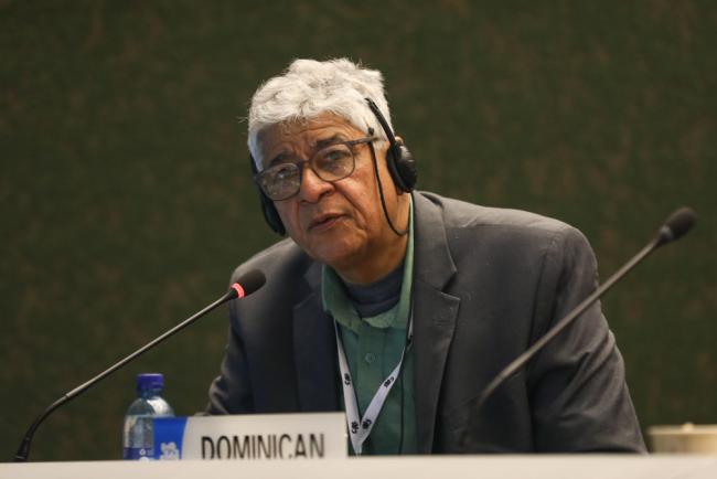 Nelson García Marcano, Dominican Republic
