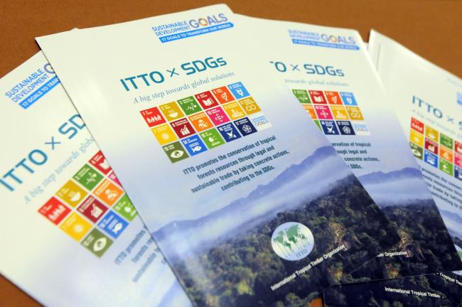 ITTO x SDGs