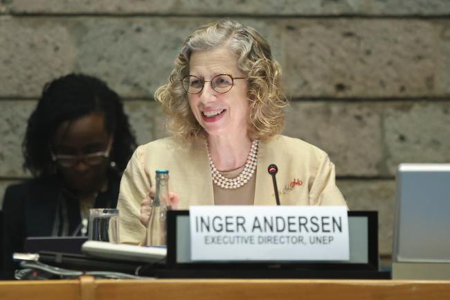 Inger Andersen, Executive Director, UNEP 