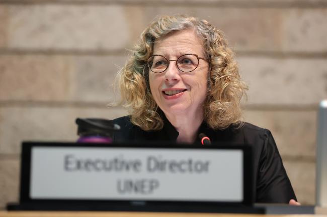 Inger Andersen, Executive Director, UNEP 
