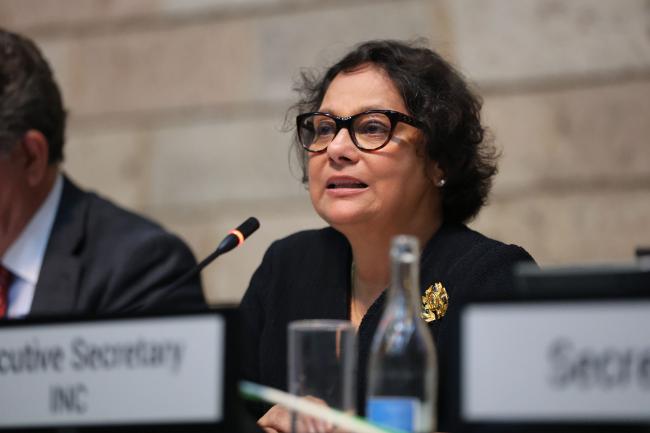 Jyoti Mathur-Filipp, Executive Secretary, INC Secretariat 