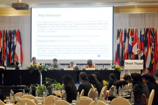 Laurent Lourdais, EU Delegation to Thailand