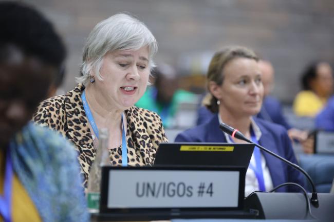 Lesley Jayne Onyon, World Health Organization (WHO) 