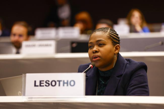 Lesotho- MinamataCOP5 - 1Nov2023 – Photo.jpg