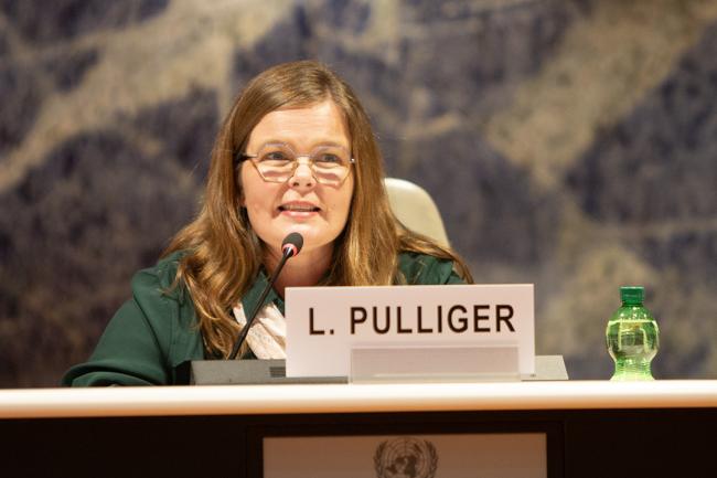 Lisl Pulliger, Managing Director, Vivid Advisory - IGF-AGM 19 - 7 Nov 2023 - Photo