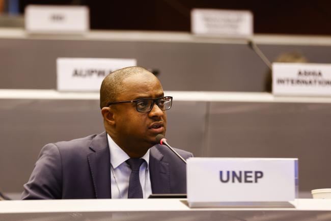 Mamadou Kane, UNEP- MinamataCOP5 - 1Nov2023 – Photo.jpg