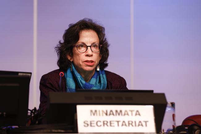 Marianne Bailey, Minemata Secretariat- MinamataCOP5 - 3Nov2023 – Photo.jpg