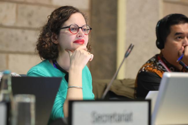 Marine Collignon, France, Co-Facilitator of Contact Group 3