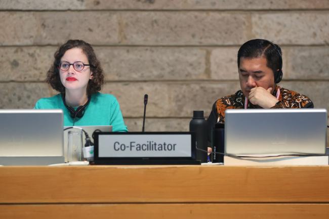 Marine Collignon, France, and Danny Rahdiansyah, Indonesia, Co-Facilitators of Contact Group 3 