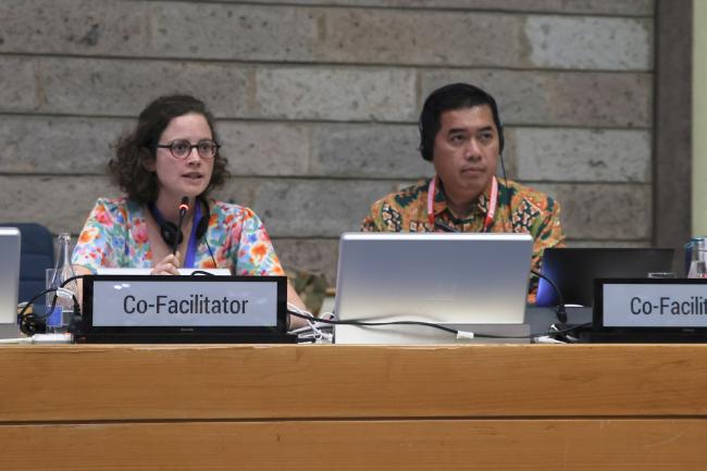 Marine Collignon, France, and Danny Rahdiansyah, Indonesia, Co-Facilitators of Contact Group 3 