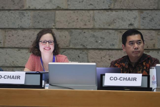 Marine Collignon, France, and Danny Rahdiansyah, Indonesia, Co-Facilitators of Contact Group 3 