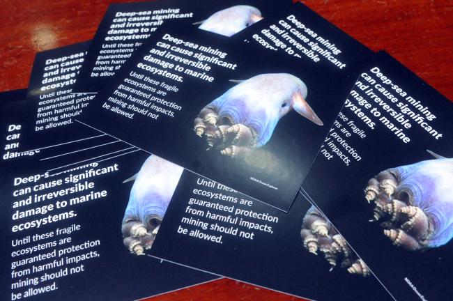 Marine ecosystems damage ad