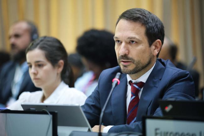 Martin Fernandez Diez-Picazo, Spain, on behalf of the EU