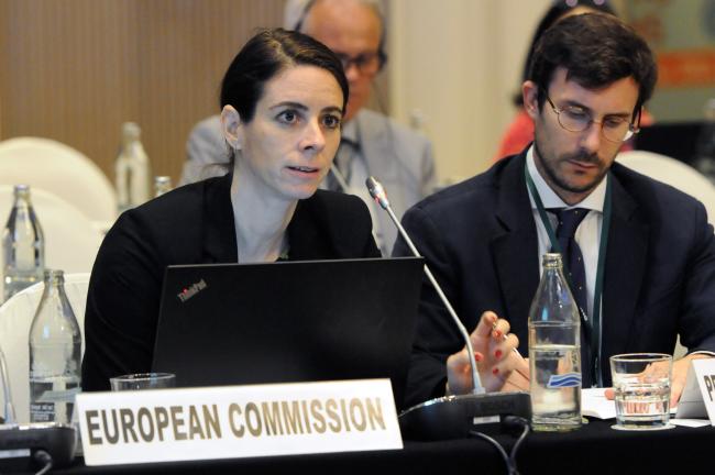 Nora Ricken, EU