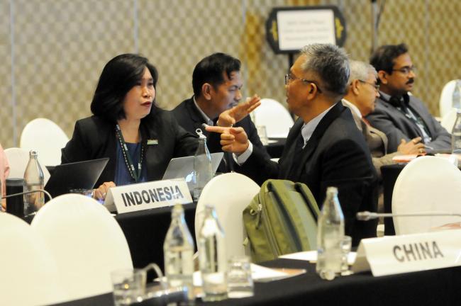 Novia Widyaningtyas, Indonesia, and Tetra Yanuariadi, ITTO Secretariat