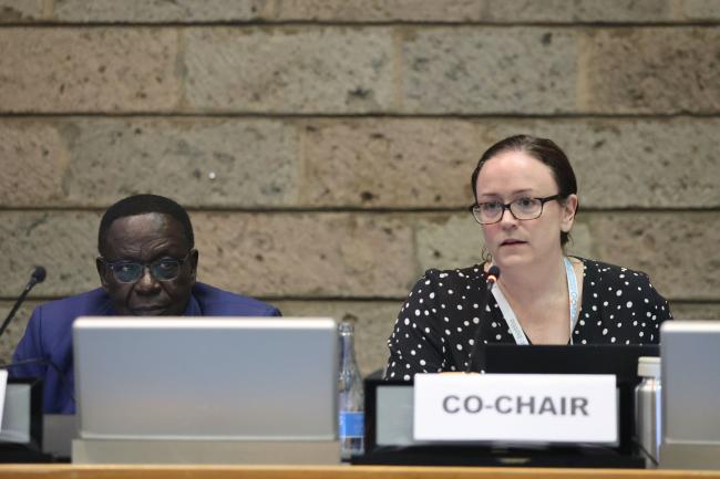 Oliver Boachie, Ghana, and Katherine Lynch, Australia, Co-Facilitators of Contact Group 2 