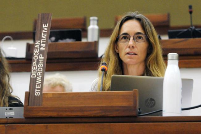 Patricia Esquete Garrote, Deep Ocean Stewardship Initiative (DOSI)