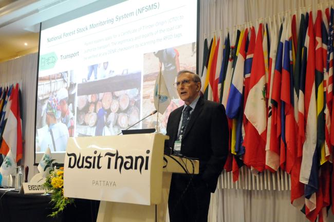 Patrick Durst, Forestry and Natural Resources Consultant