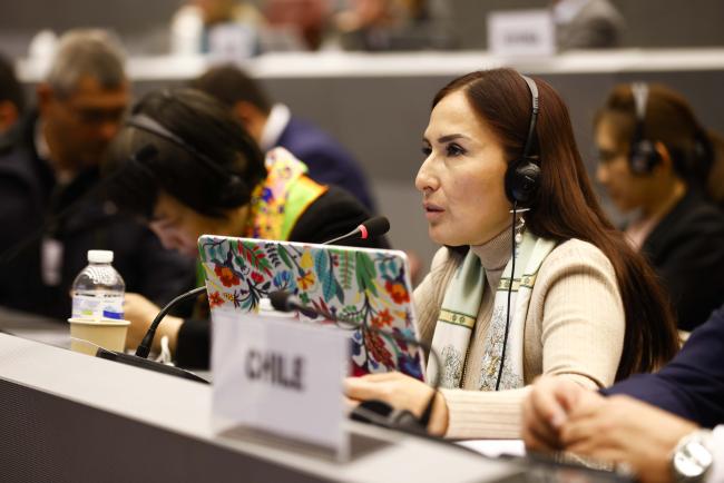 Pauline Riquelme, Chile- MinamataCOP5 - 1Nov2023 – Photo.jpg