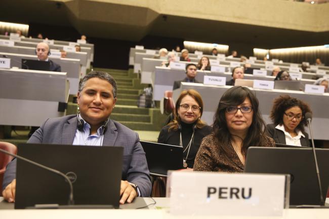 Peru- MinamataCOP5 - 1Nov2023 – Photo.jpg