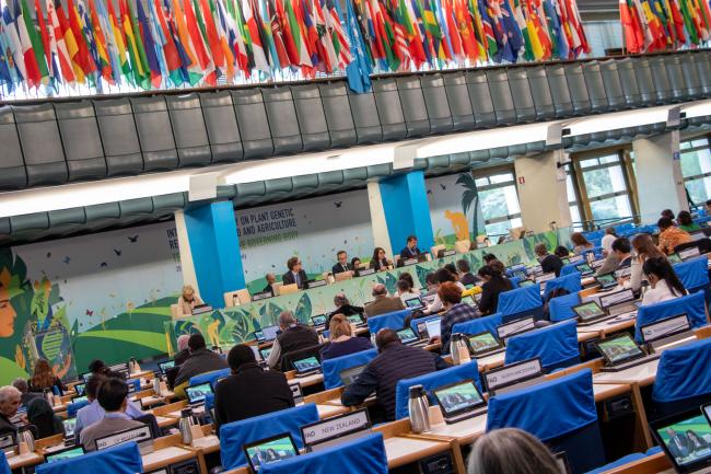 Plenary