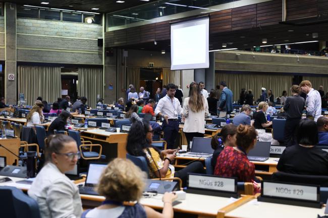 Plenary was suspended and delegates continued the deliberations in informal groups 