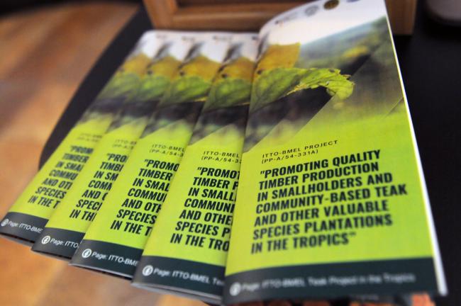 Promoting quality timber production