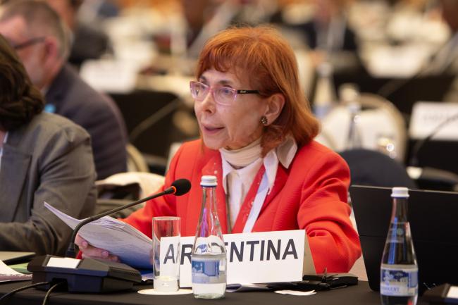 Reina Sotillo, Argentina - CRIC 21 - 13 Nov 2023 - Photo