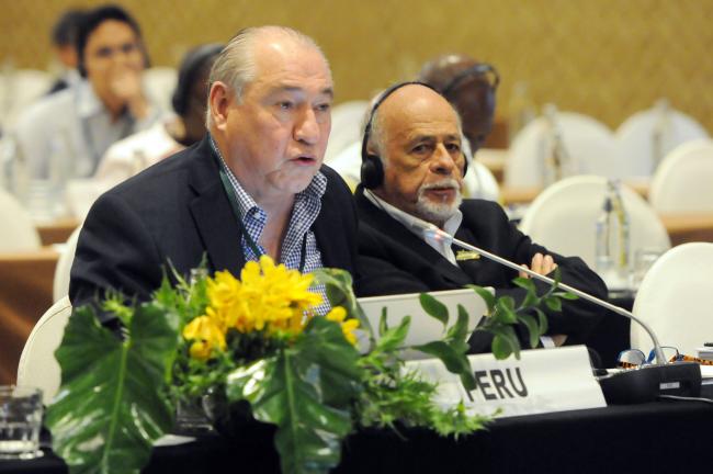 (L-R) Roberto Seminario Portocarrero, Ambassador of Peru to Japan, and Jorge Malleux Orjeda, Peru, spokesperson for the Producer caucus