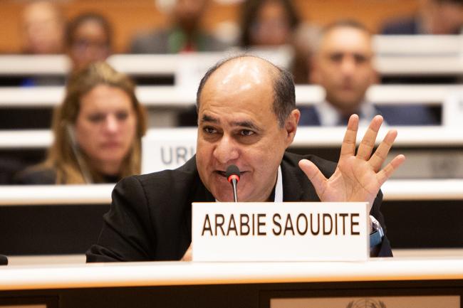 Saudi Arabia - IGF-AGM 19 - 7 Nov 2023 - Photo