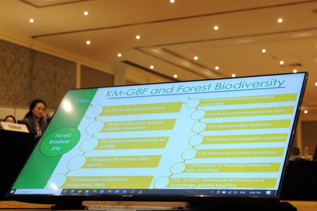 A slide from the online presentation by Jamal Annaglyjova, CBD Secretariat
